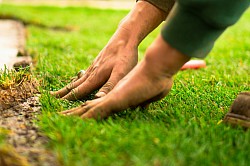 perfect sod installation