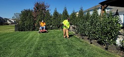 Land maintenance
